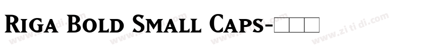 Riga Bold Small Caps字体转换 Riga Bold Small Caps字体转换